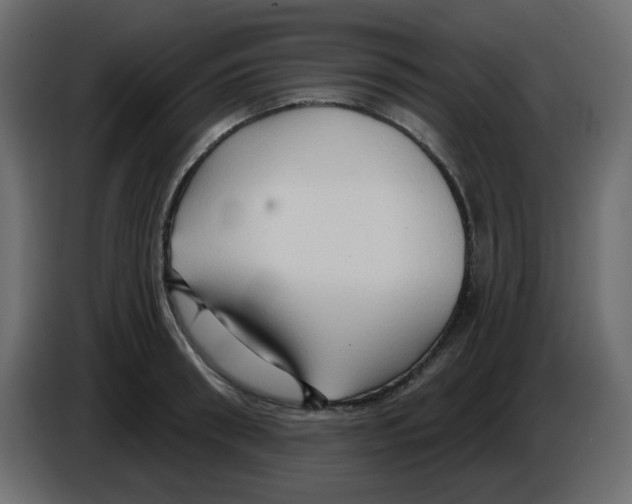 X0000084600898200703231924