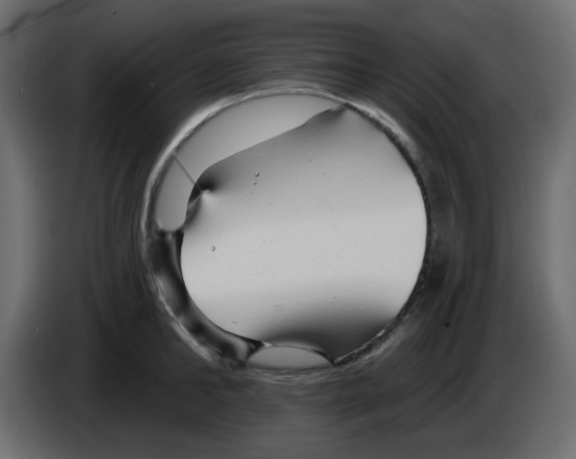 X0000084600902200703231924