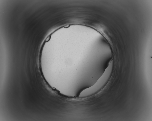 X0000084600904200703231924