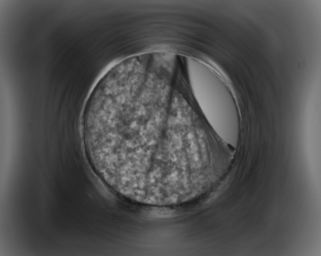 X0000084600907200703231924