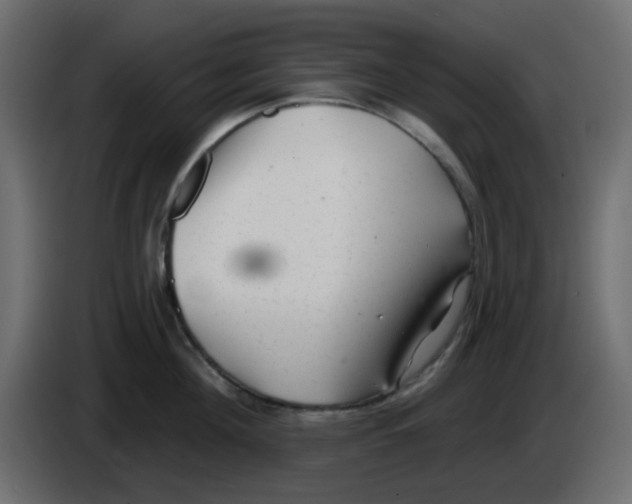 X0000084600908200703231924