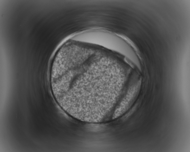 X0000084600910200703231924