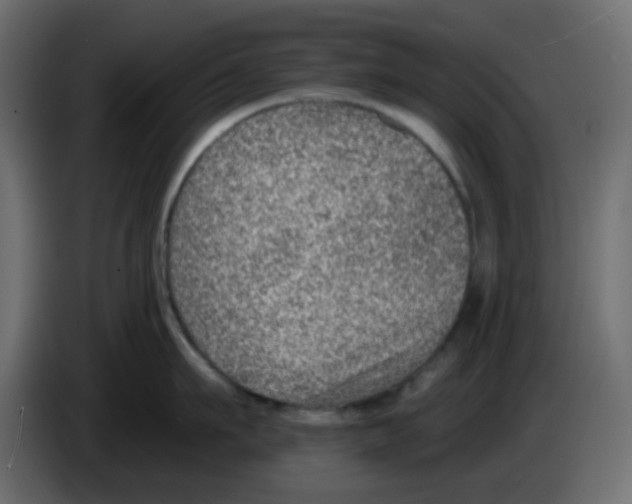 X0000084600911200703231924