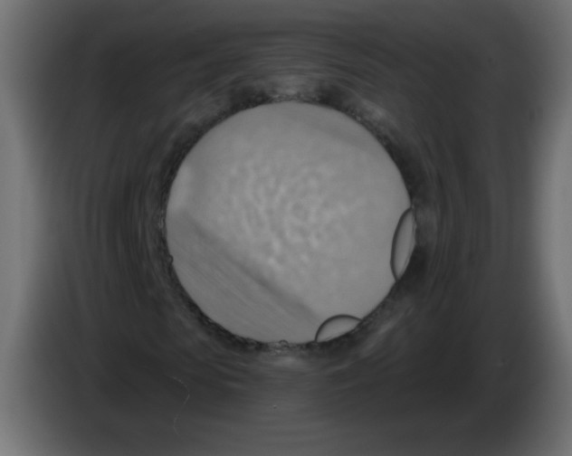 X0000084600913200703231923