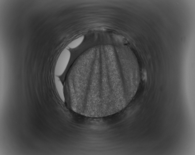 X0000084600915200703231923