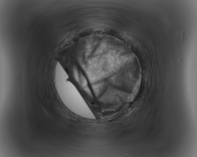 X0000084600916200703231923