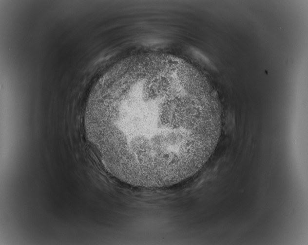 X0000084600917200703231923