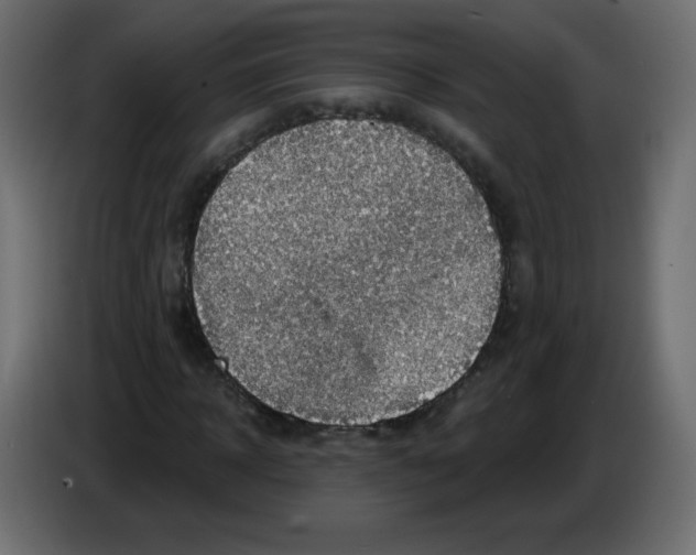 X0000084600918200703231923