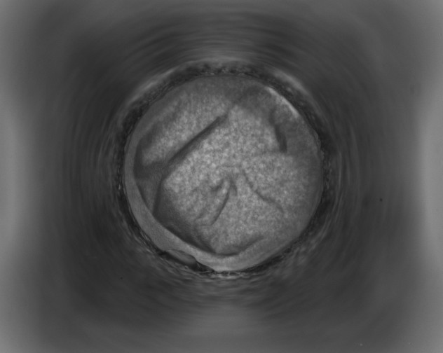 X0000084600919200703231923