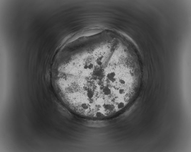 X0000084600921200703231923