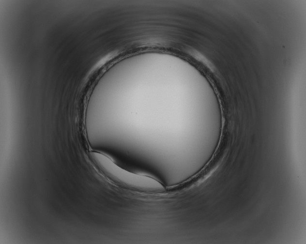 X0000084600922200703231923