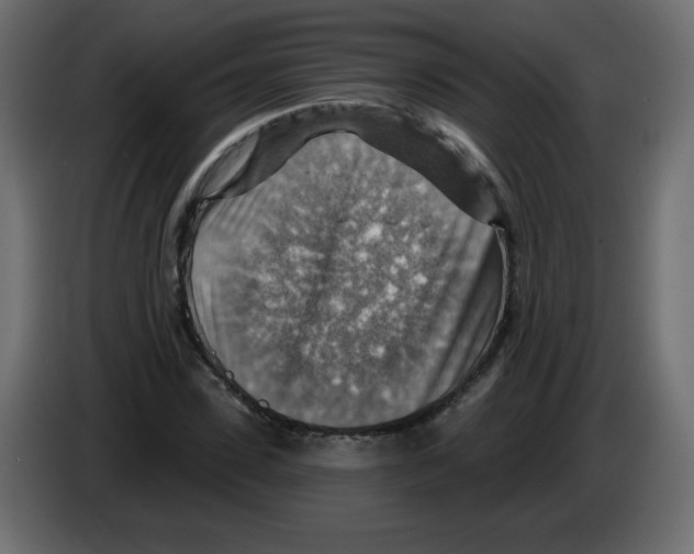 X0000084600923200703231923