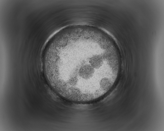 X0000084600925200703231923