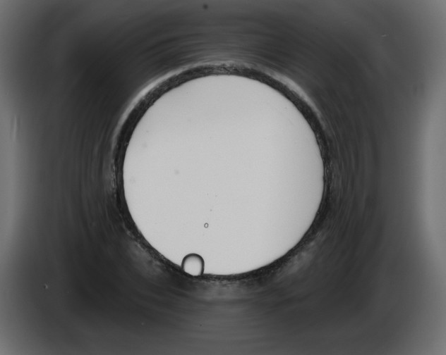 X0000084600927200703231923