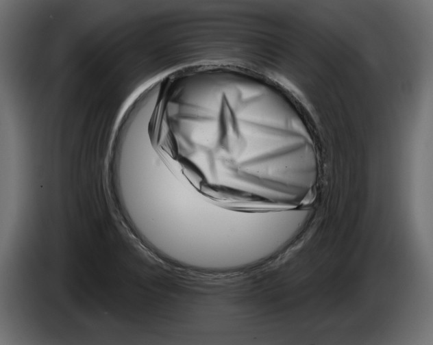 X0000084600928200703231923