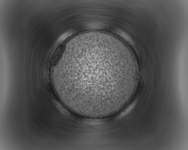 X0000084600930200703231923