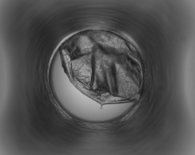 X0000084600932200703231923