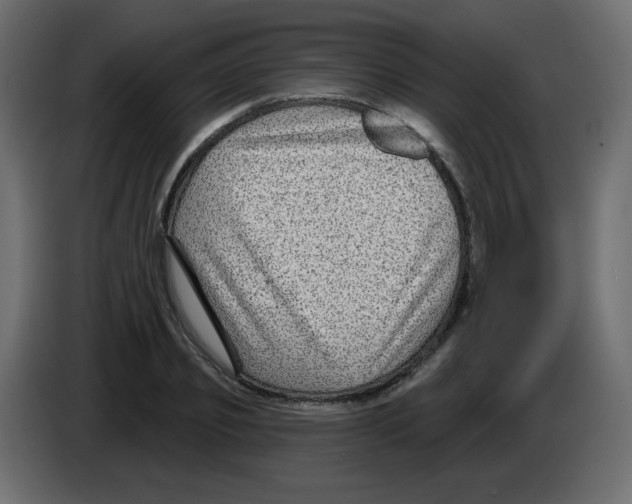 X0000084600933200703231923