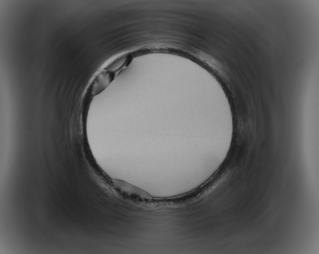 X0000084600934200703231923