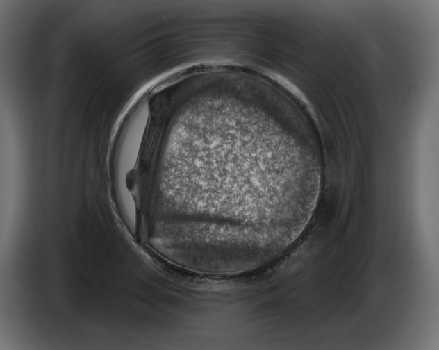 X0000084600935200703231923