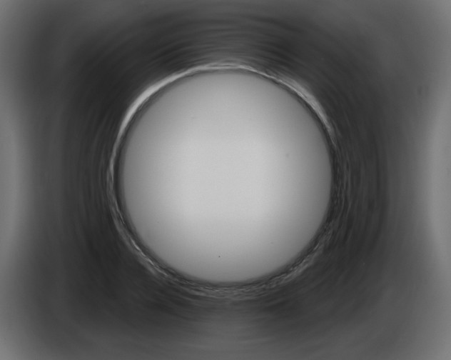 X0000084600936200703231923