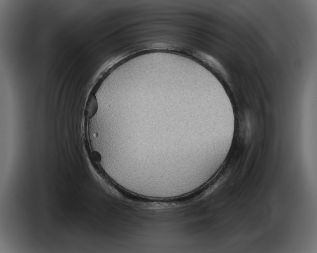 X0000084600938200703231924