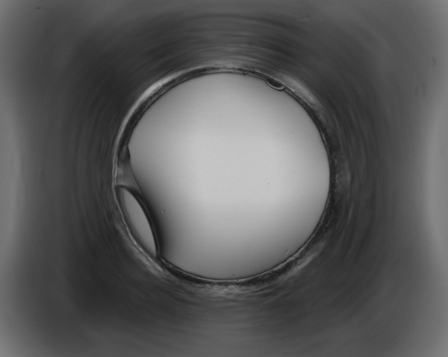 X0000084600940200703231924