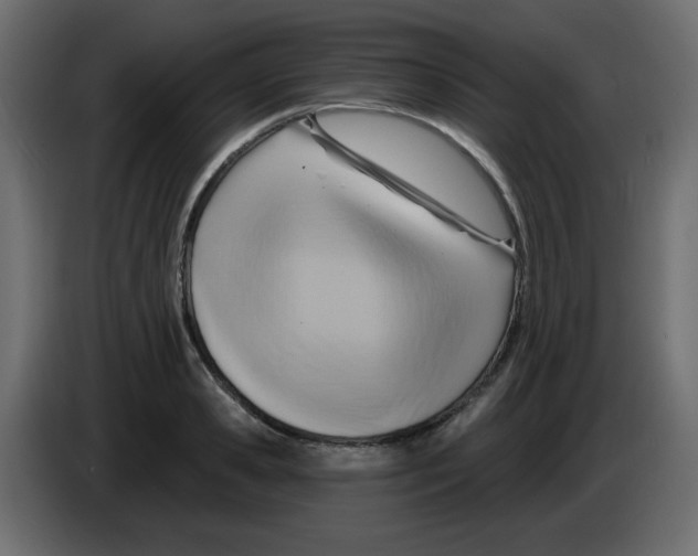 X0000084600941200703231924