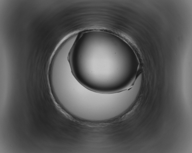 X0000084600942200703231924