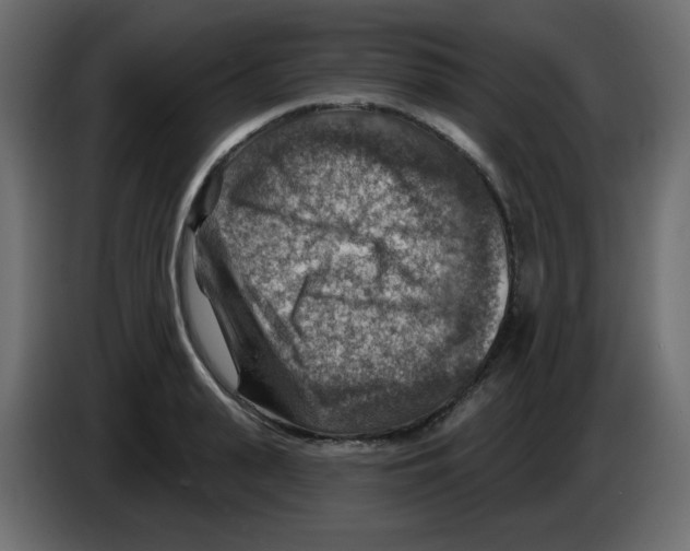 X0000084600943200703231924