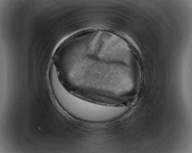 X0000084600944200703231924