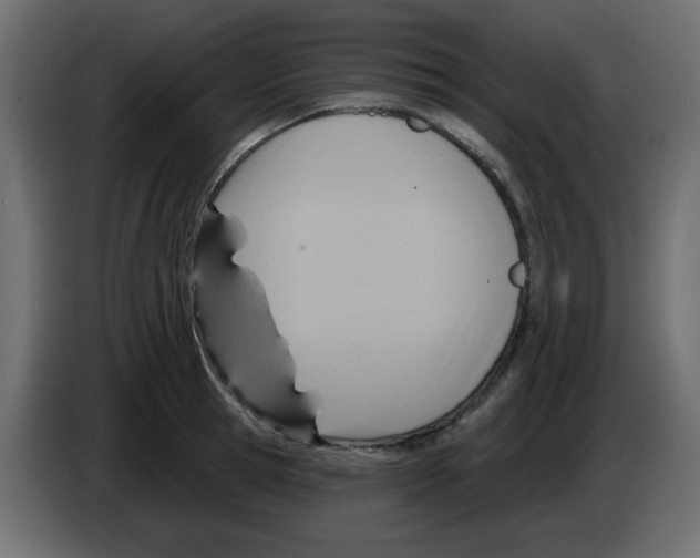 X0000084600945200703231924