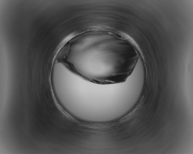 X0000084600946200703231924