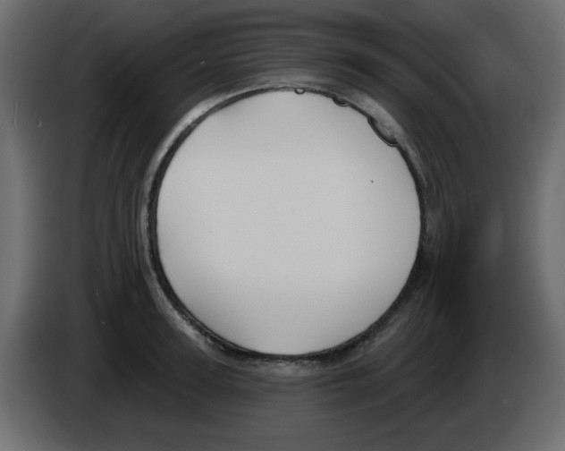 X0000084600947200703231924