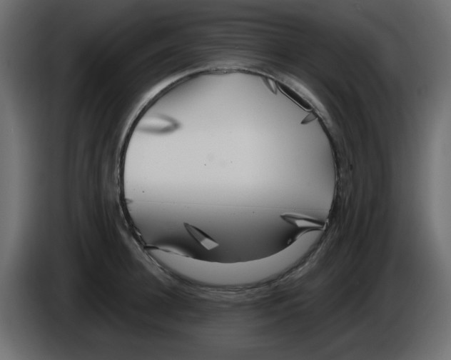 X0000084600948200703231924