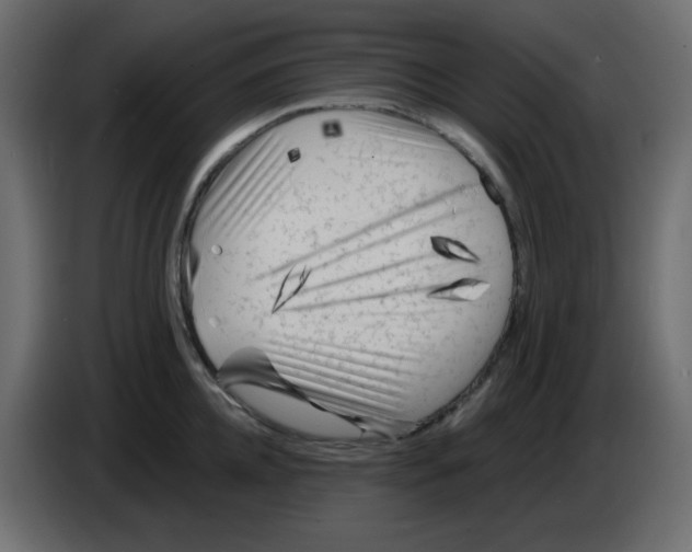 X0000084600952200703231924