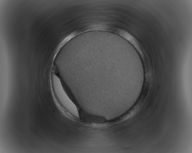 X0000084600954200703231924