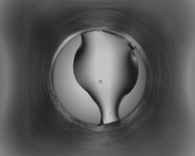 X0000084600956200703231924