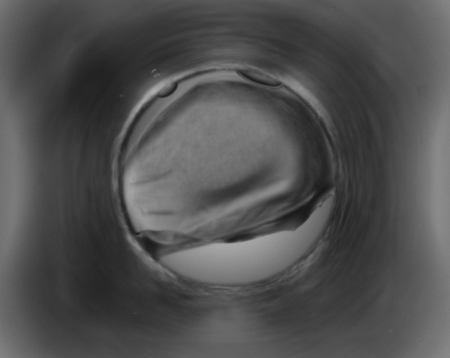 X0000084600958200703231924