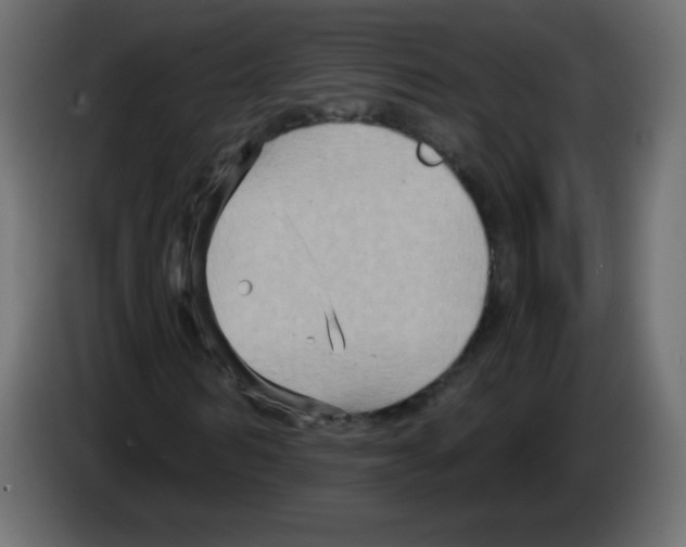 X0000084600962200703231923