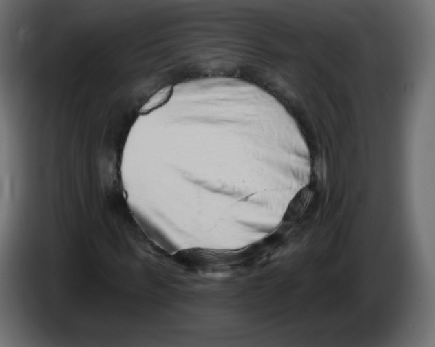 X0000084600963200703231923