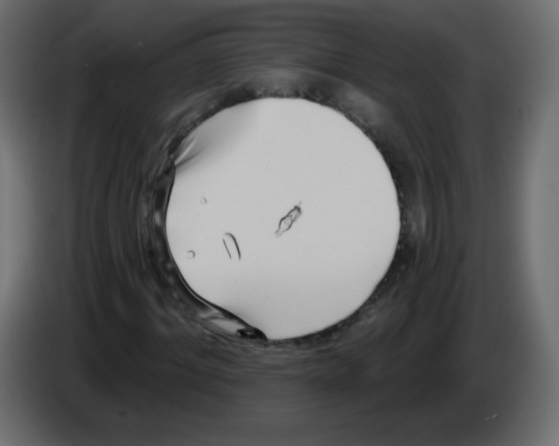 X0000084600964200703231923