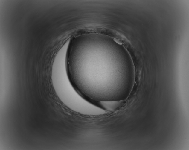 X0000084600965200703231923