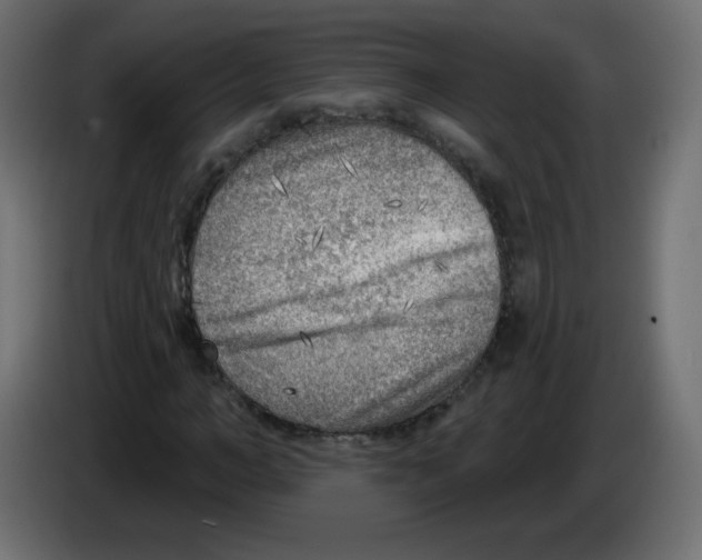 X0000084600966200703231923
