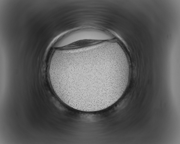 X0000084600971200703231923