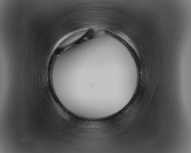 X0000084600972200703231923