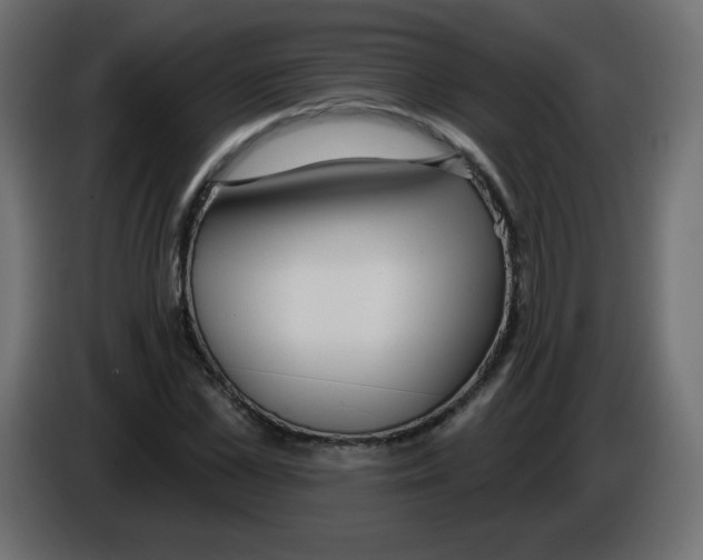 X0000084600973200703231923