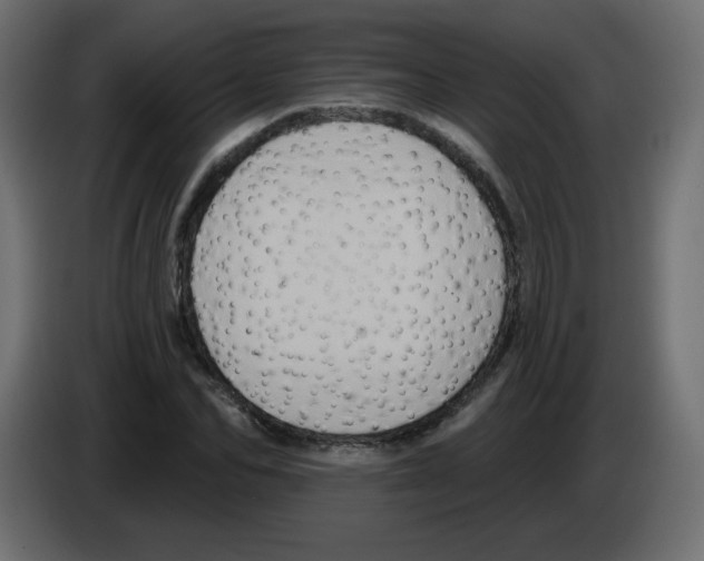 X0000084600974200703231923