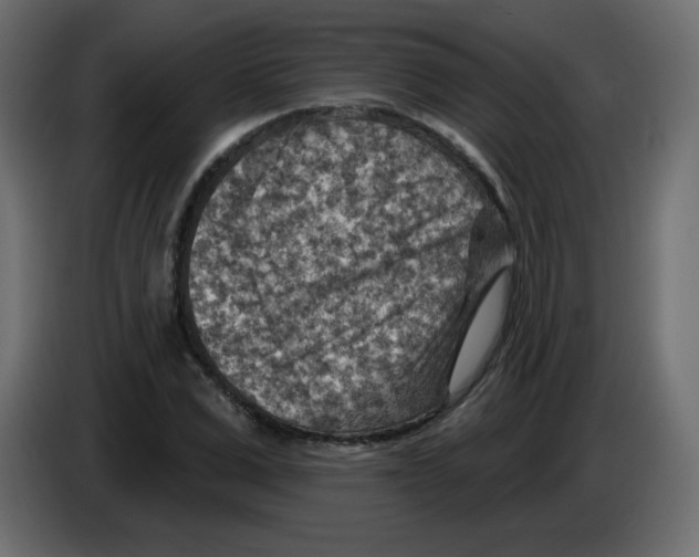 X0000084600975200703231923