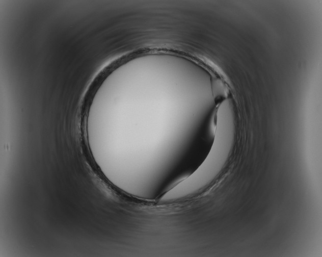 X0000084600976200703231923